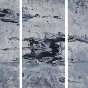 Black swan by Keren de Vreede